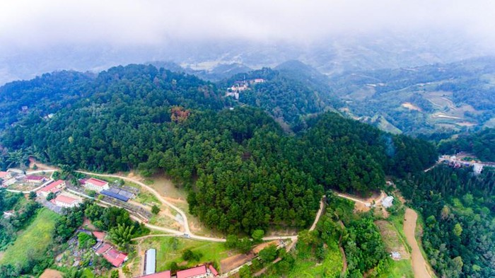 Yen Minh pine forest, “miniature Da Lat” on the rocky plateau