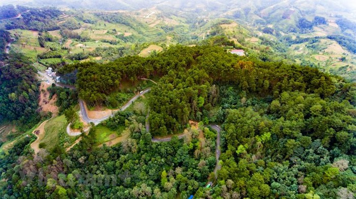 yen minh pine forest miniature da lat on the rocky plateau