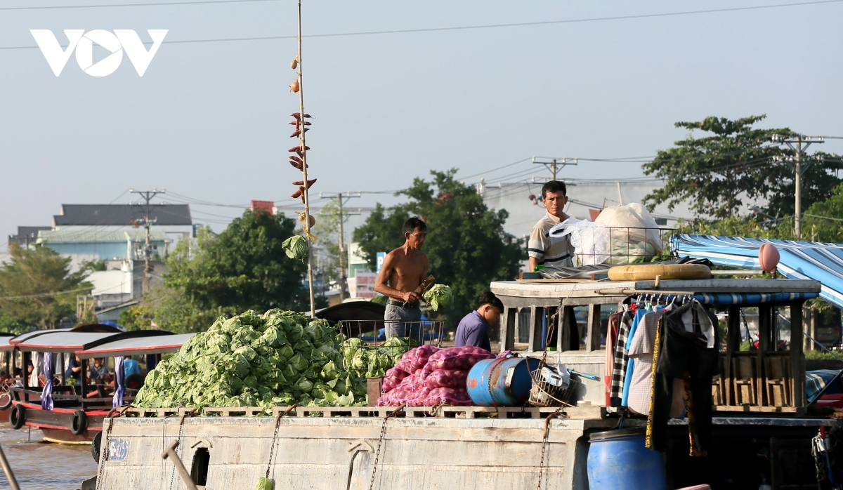 Cai Rang floating market, a highlight of Vietnam’s Mekong Delta Cai Rang floating market, a highlight of Vietnam’s Mekong Delta