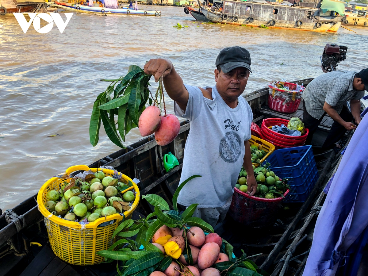 Cai Rang floating market, a highlight of Vietnam’s Mekong Delta Cai Rang floating market, a highlight of Vietnam’s Mekong Delta