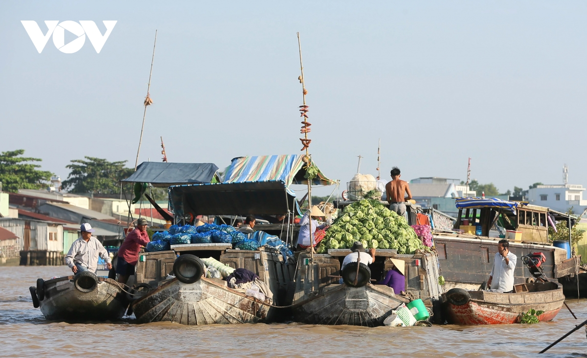 Cai Rang floating market, a highlight of Vietnam’s Mekong Delta
