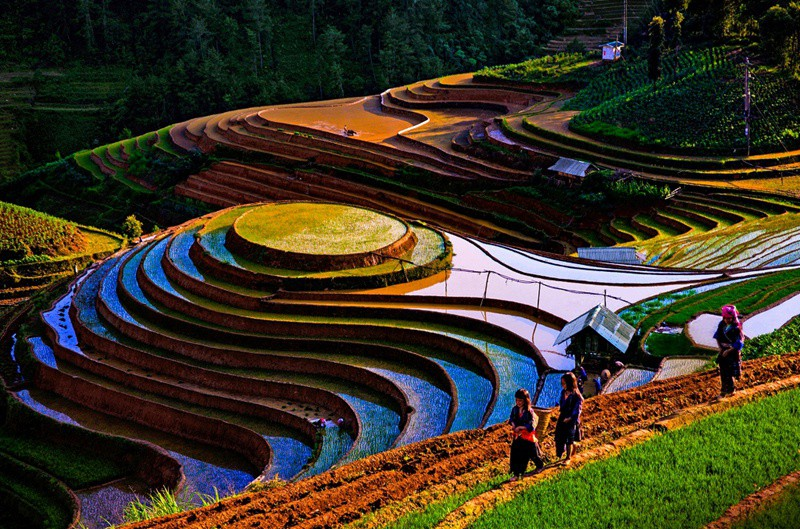Majestic beauty of Vietnam's highest mountain range