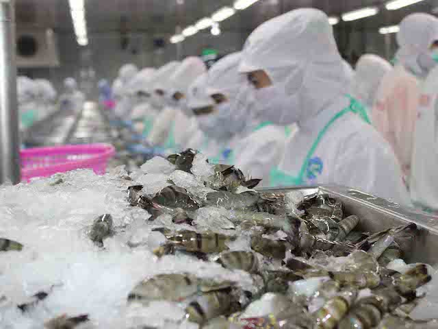 Which economic sectors are predicted to grow in Vietnam next year?