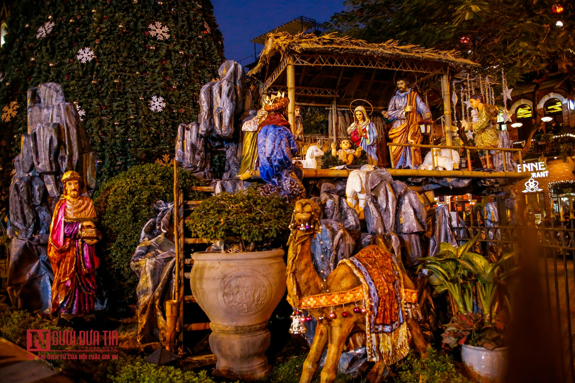 In photos: Churches in Hanoi splendidly decorated for Christmas
