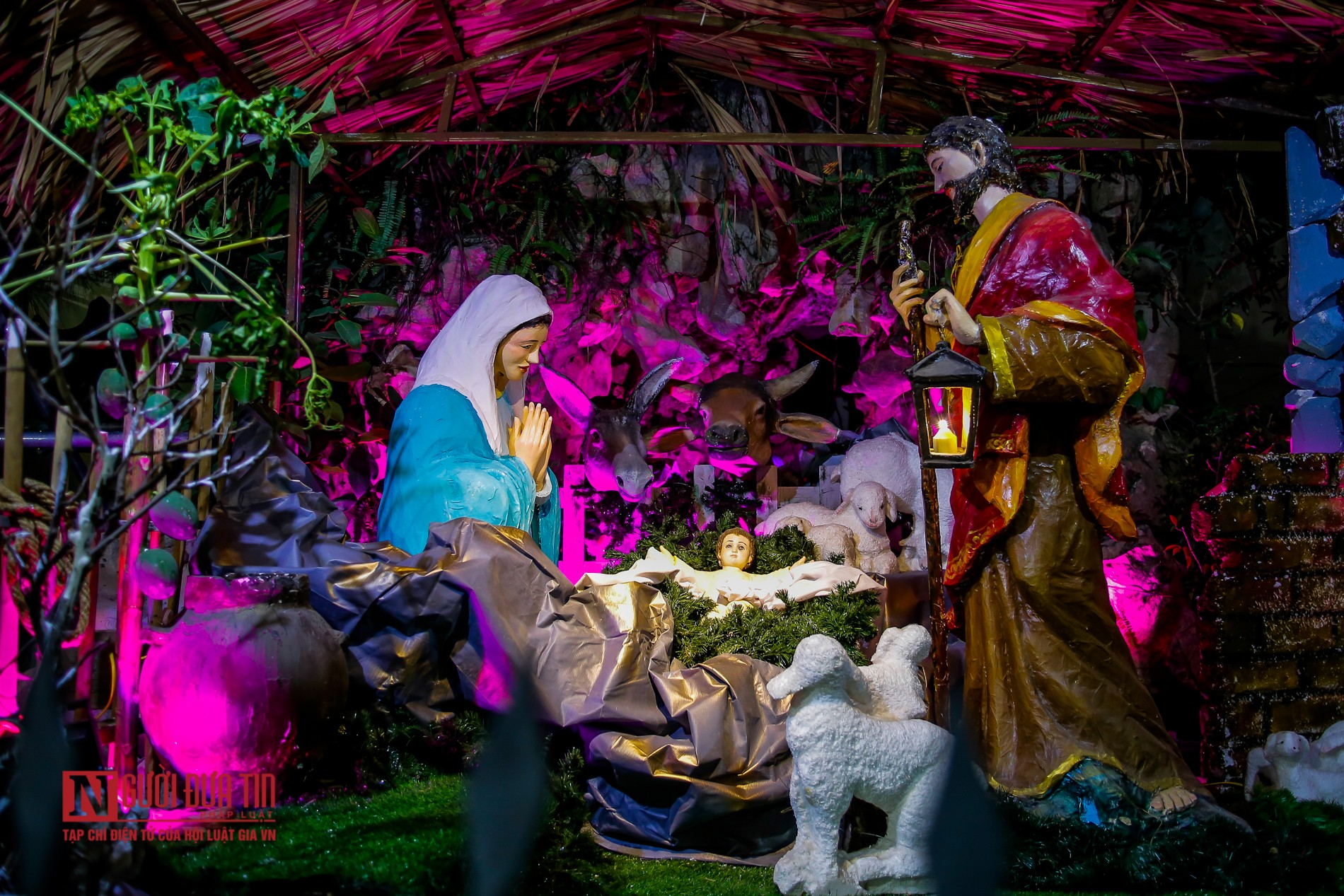 In photos: Churches in Hanoi splendidly decorated for Christmas