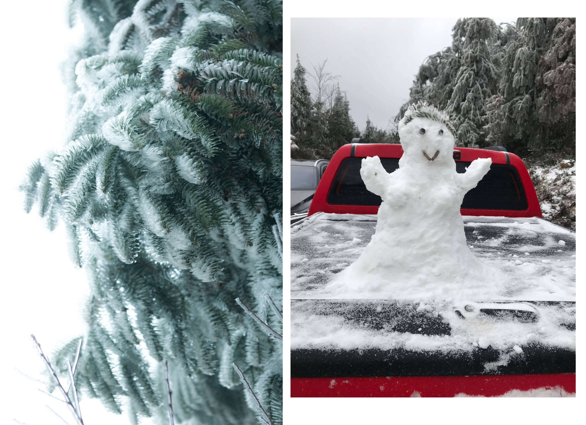 Northern highlands: Where snowfall astounds tourists with picturesque scenery