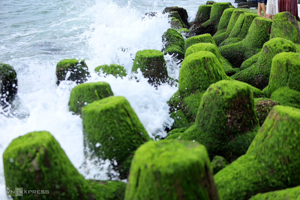 Sea wall covered with forest green moss making a touristic scene in Nha Trang