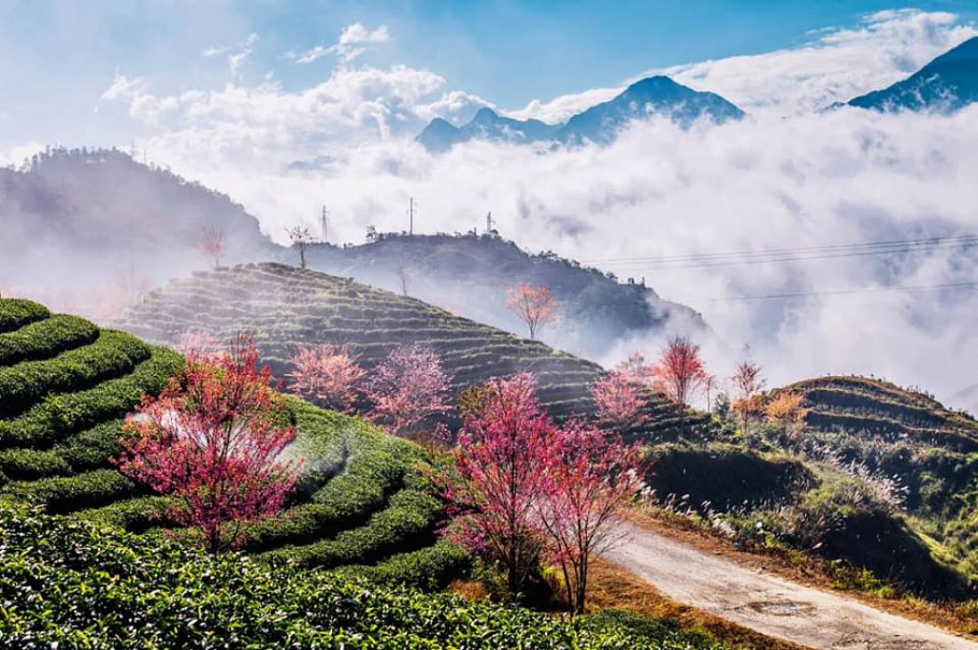 southeast asias largest iron ore mine in vietnam considered to close