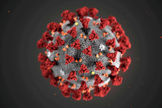 chinese man arrested for illegal covid 19 testing in peru