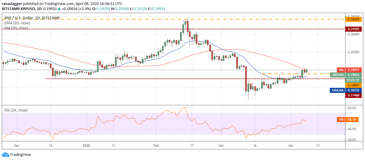 bitcoin price today bitcoin price revives cryptocurrency market thrives thursday