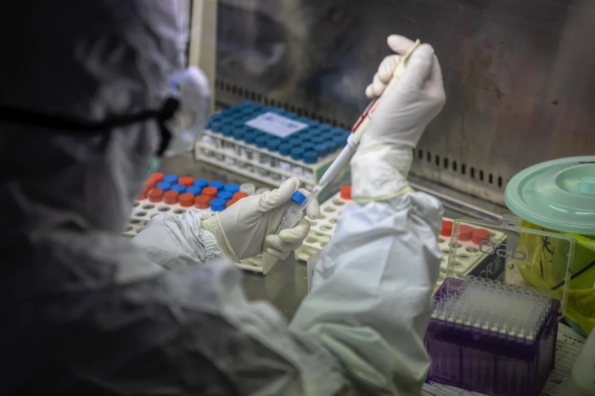 scmp coronavirus mutates into at least 30 different dangerous strains