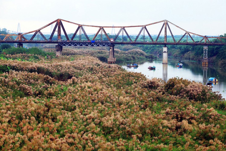 Eight interesting things to experience around Hanoi