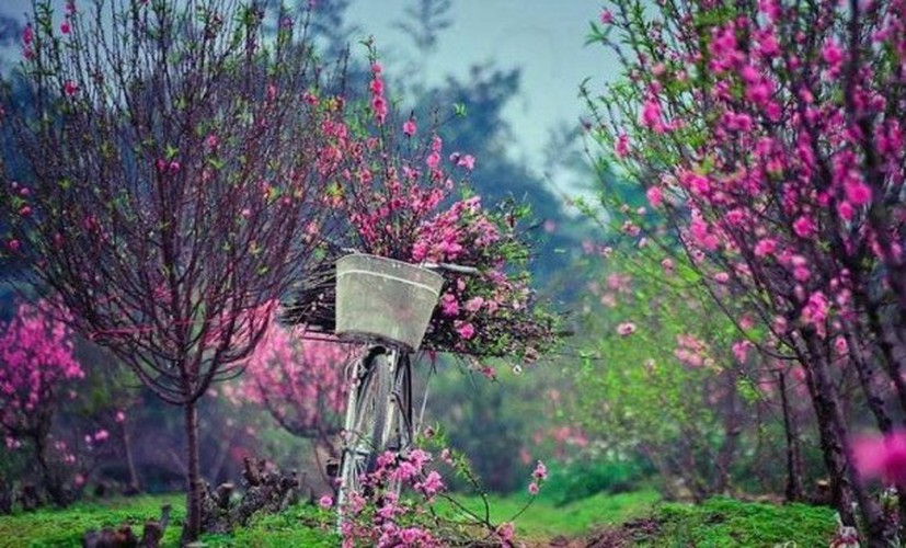 Eight interesting things to experience around Hanoi