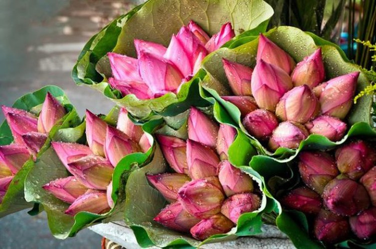 Eight interesting things to experience around Hanoi