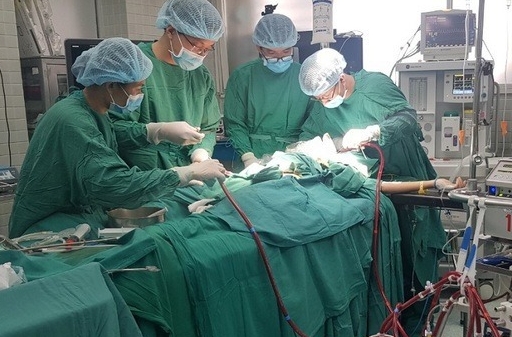 vietnam news today vietnam shares covid 19 combat experience with who assembly