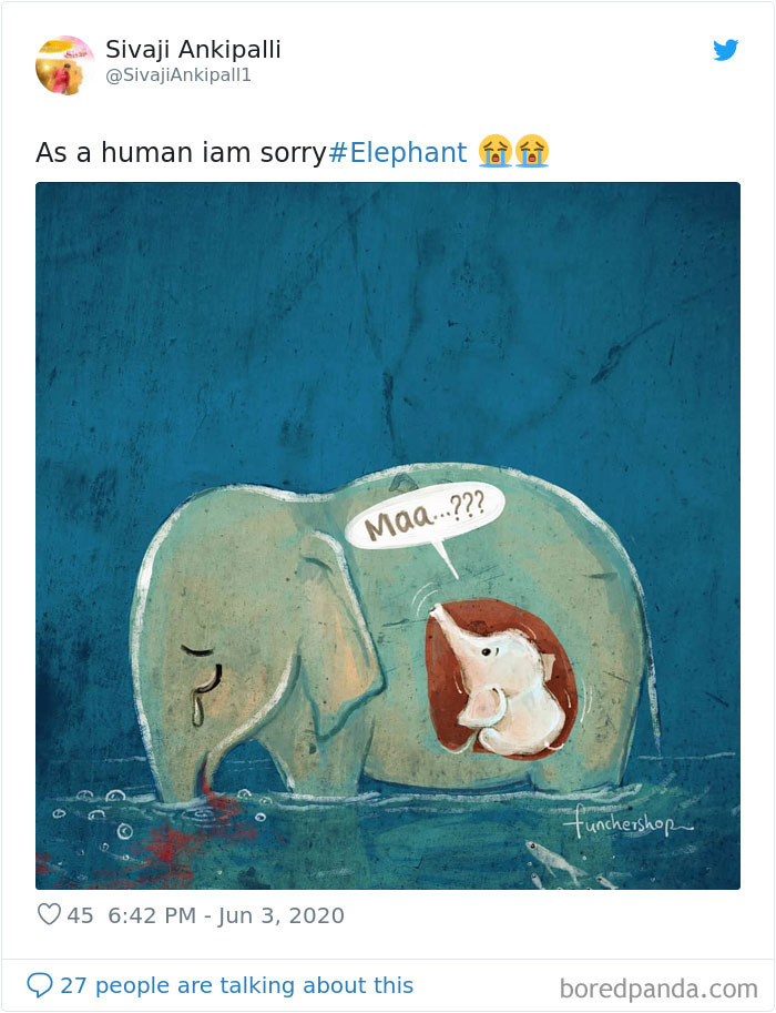 netizens burst outrage over death of prenant elephant eating pineapple stuffed with firecrackers