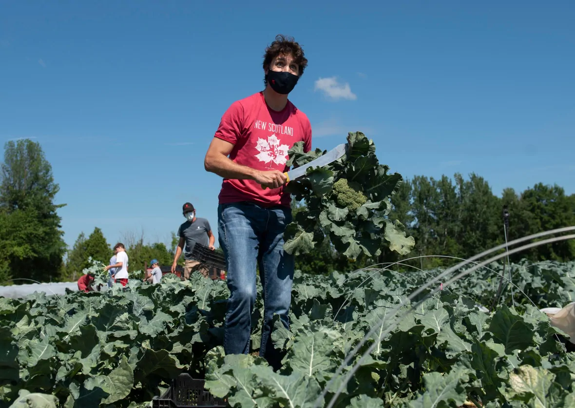 Stay Fresh: Water-rich Winter Fruits and Vegetables