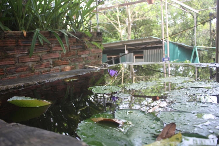 Linh Quang Pagoda (Dien Bien): The cultural and religious corner for people living along the border