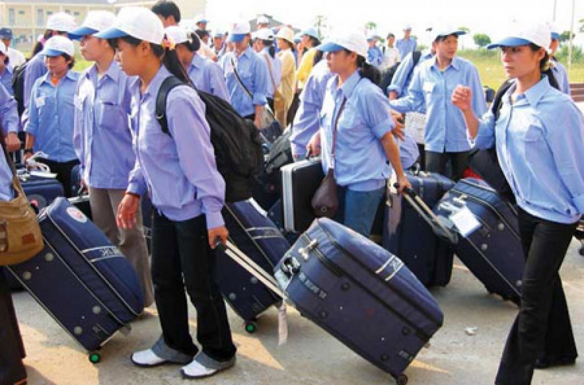 Vietnamese labourers to enjoy greater protection when working abroad