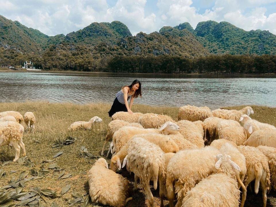 Mua Caves and Gia Vien Sheep field among best places to spend New Year Eve