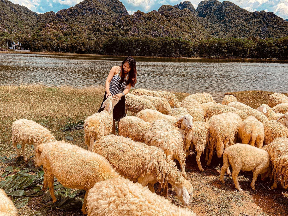 Mua Caves and Gia Vien Sheep field among best places to spend New Year Eve Mua Caves and Gia Vien Sheep field among best places to spend New Year Eve