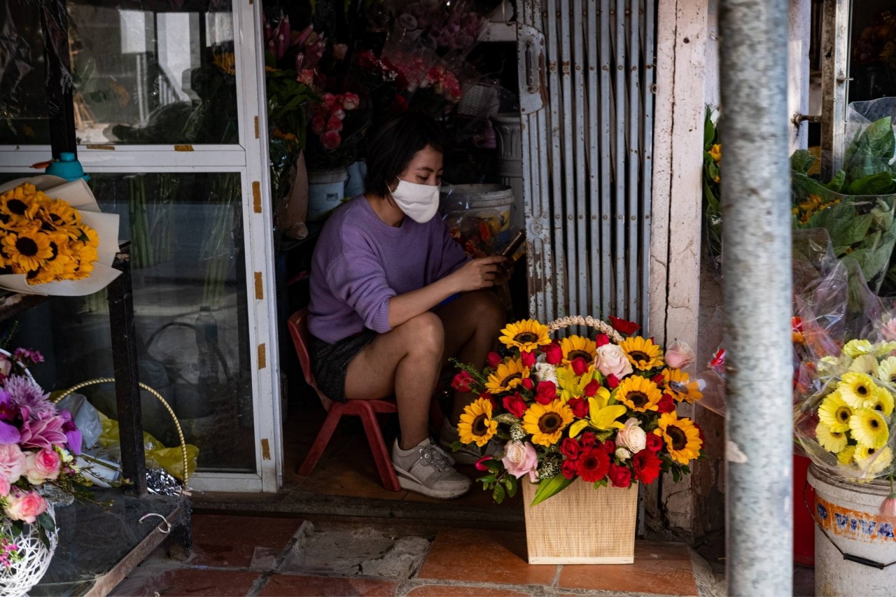 [Photo Series]: Vietnam in Bloom