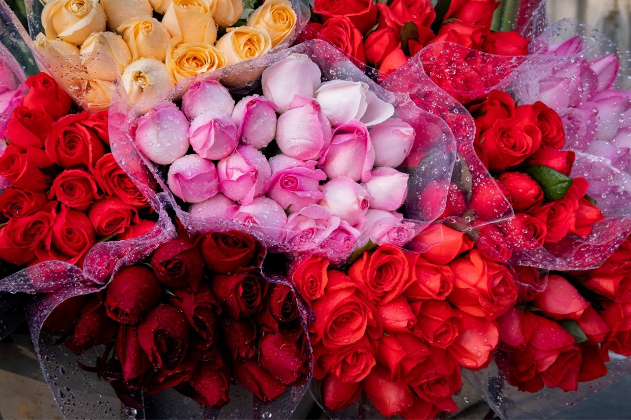 [Photo Series]: Vietnam in Bloom