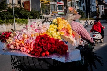 [Photo Series]: Vietnam in Bloom