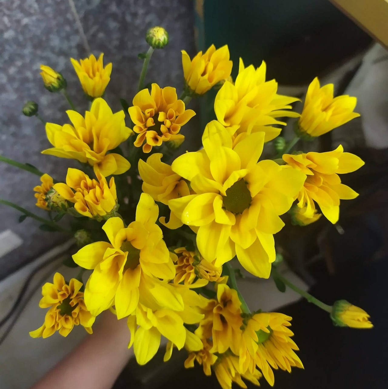 [Photo Series]: Vietnam in Bloom