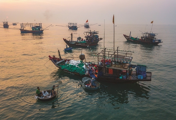 Tranquil dawn in Central Vietnam's coastal areas