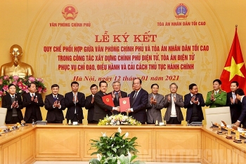 regulation on coordination in building e government and e court signed in video