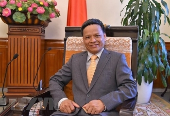 vietnamese ambassador runs for re election to inter national law commission