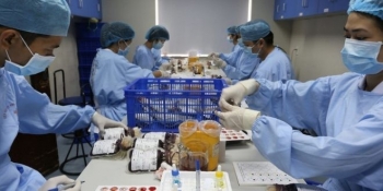 WB announces up to 12 billion USD immediate support for COVID-19-stricken countries