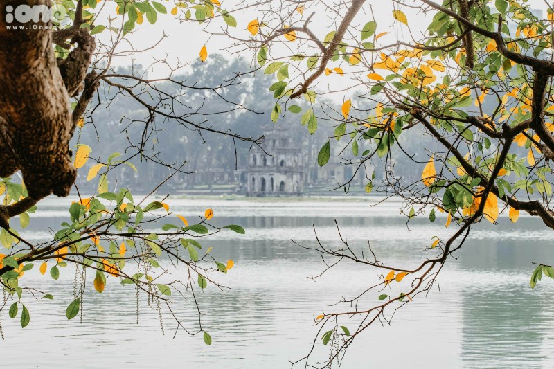 gorgeous hanoi in deciduous season