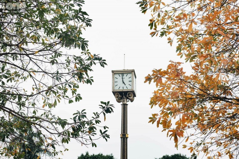 gorgeous hanoi in deciduous season