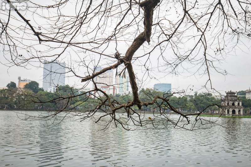gorgeous hanoi in deciduous season