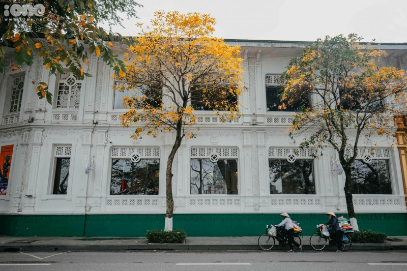 gorgeous hanoi in deciduous season