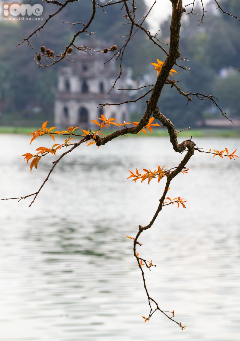 gorgeous hanoi in deciduous season