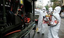 dont bank on summer killing coronavirus off studies say