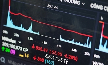 Covid-19 sends VN-Index plunging to biggest losing session in 16 years