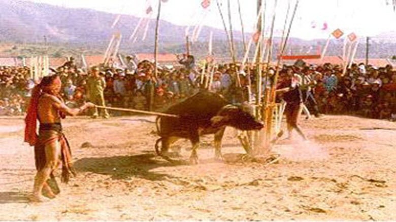 the overview of a 5000 year age old unique culture vietnam