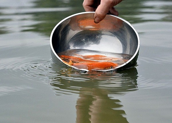 worship rituals during lunar new year in vietnam