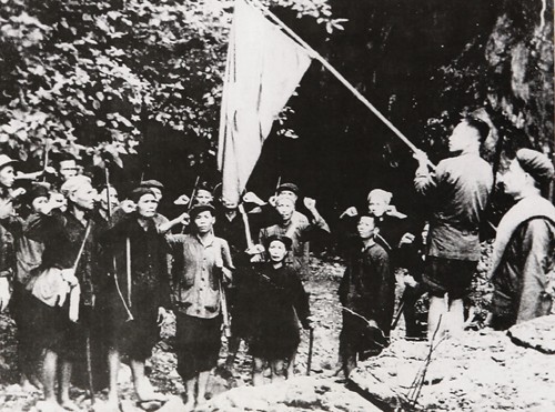 an overview of vietnam militia and self defence force