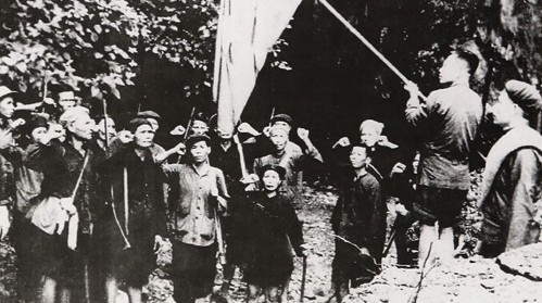 an overview of vietnam militia and self defence force