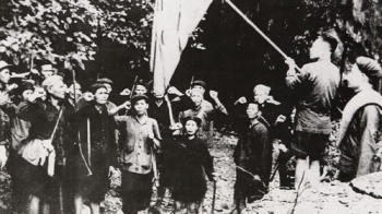 An overview of Vietnam Militia and Self-Defence Force