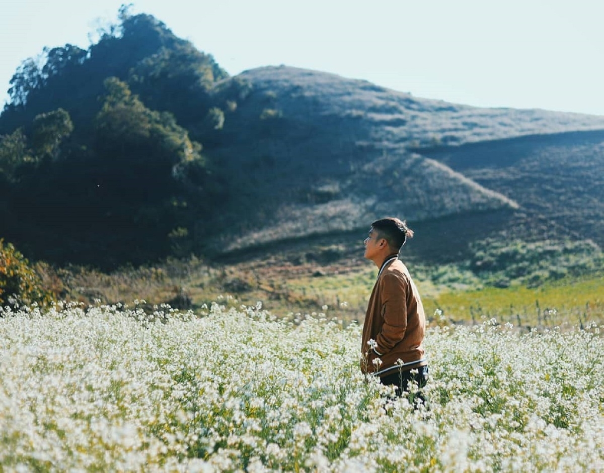 Impressive flower photo collection across Vietnam from a fresh photographer