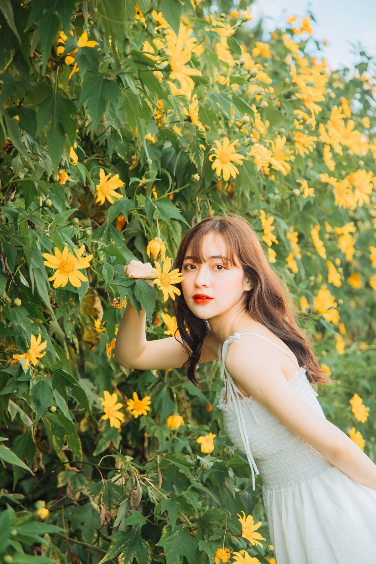 Impressive flower photo collection across Vietnam from a fresh photographer