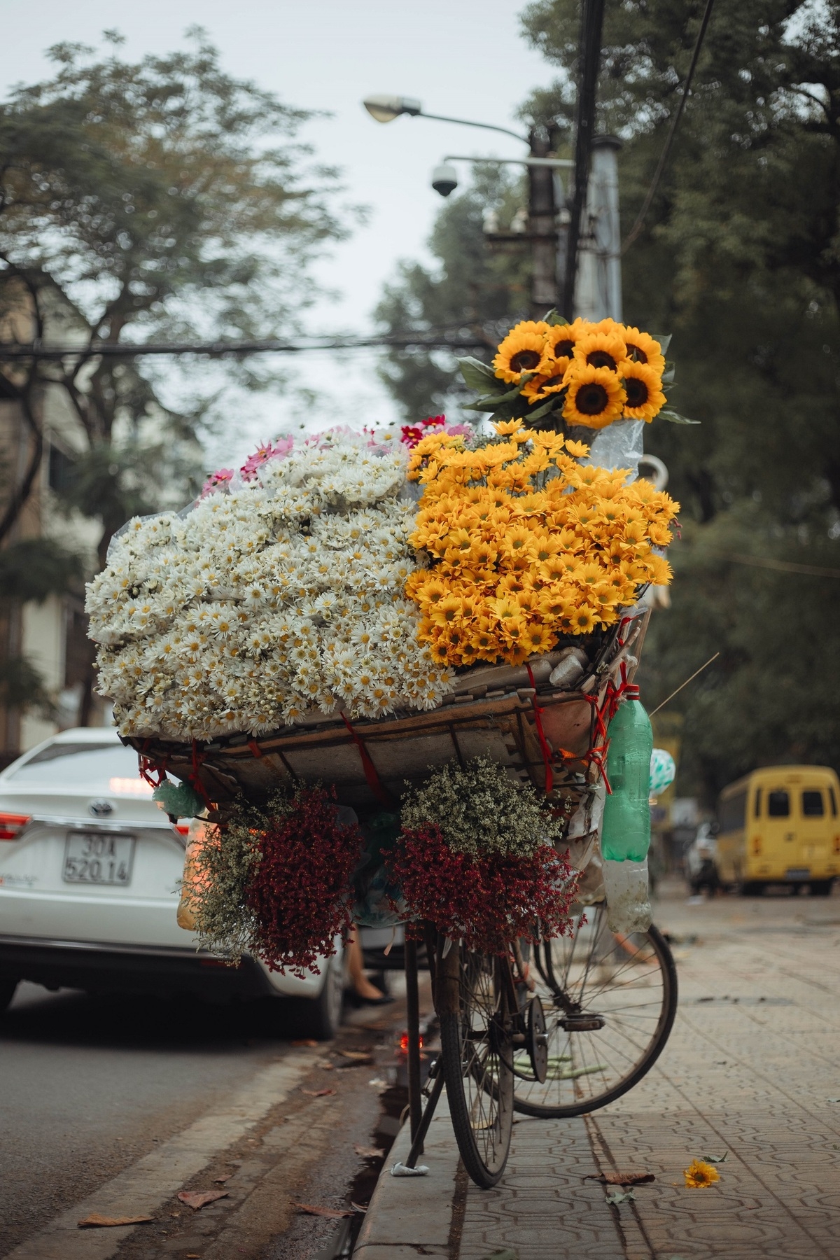 Impressive flower photo collection across Vietnam from a fresh photographer