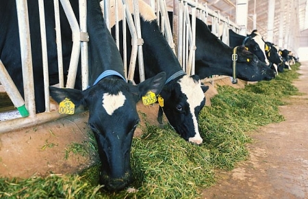 Shares in Vietnam’s dairy giant Vinamilk soar by 4 percent after trip to China