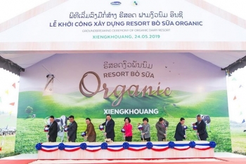 vietnamese dairy giant vinamilk enters south korean market
